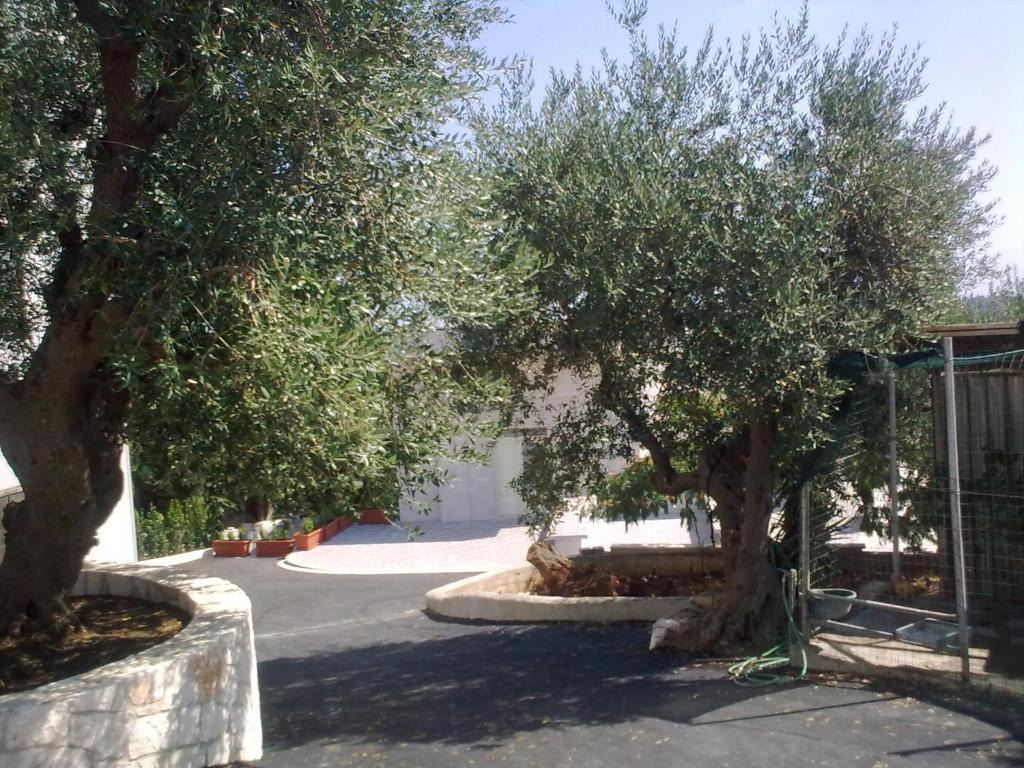 Bed & Breakfast La Collinetta Locorotondo Luaran gambar